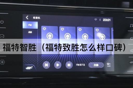 福特智胜（福特致胜用户评价）