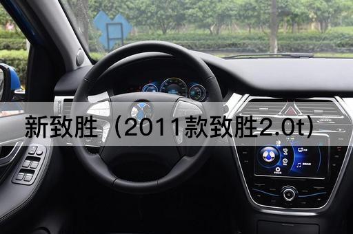 新致胜（2023款致胜2.0t）