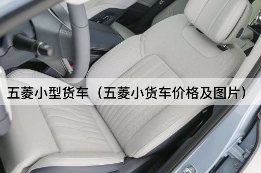五菱小型货车（五菱小货车性能及）