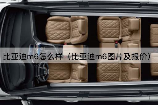 比亚迪M6性能评测与市场价格
