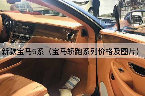 新款宝马5系（宝马豪华轿车系列价格及）
