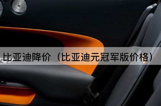 比亚迪降价（比亚迪元旗舰版价格）