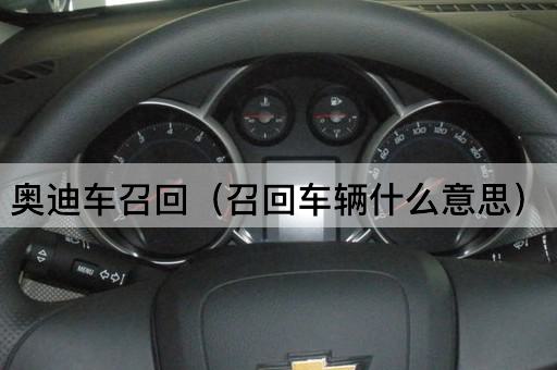 奥迪车召回（车辆召回的含义）