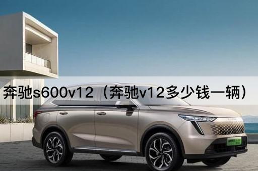 奔驰S600 V12（奔驰V12价格查询）