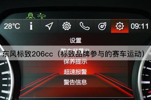 东风标致206cc（标致品牌在赛车界的辉煌历程）