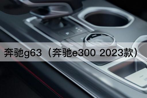 奔驰G63（奔驰S5002023款）