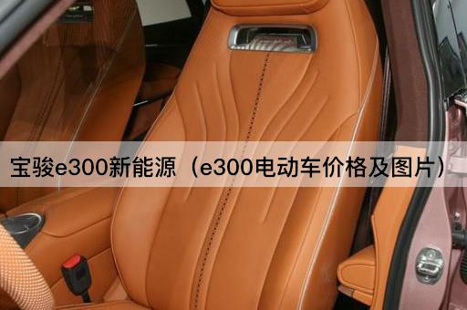 宝骏e300新能源：电动车价格解析
