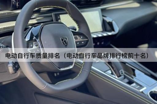 电动自行车品牌前十强榜单