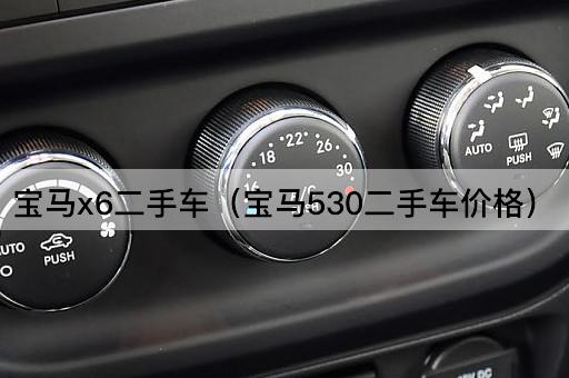 宝马X6二手车（宝马530i二手车价格）