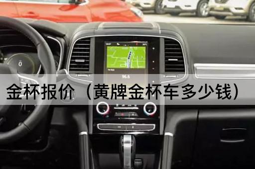 金杯报价（黄牌金杯车价格查询）