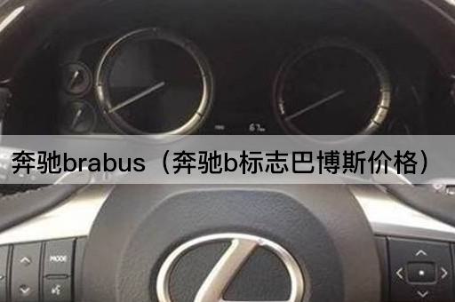 奔驰Brabus：探索巴博斯车型的价格
