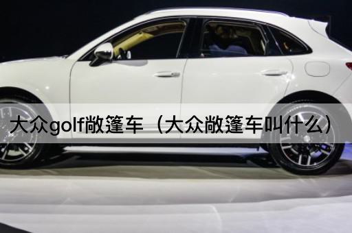大众Golf敞篷版（大众敞篷车型名称）