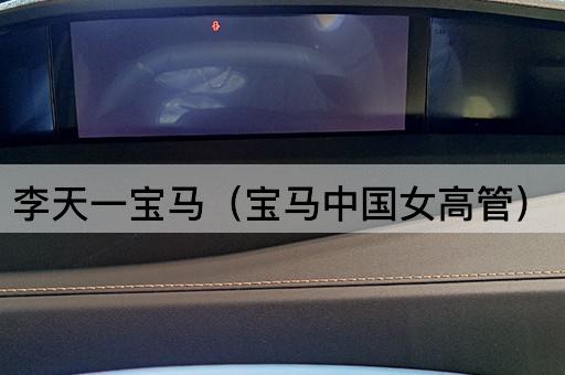 李天一宝马（宝马女性领袖）