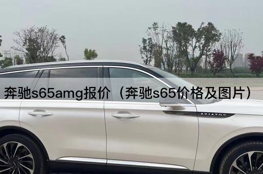 奔驰S65 AMG报价（奔驰S65售价详情）