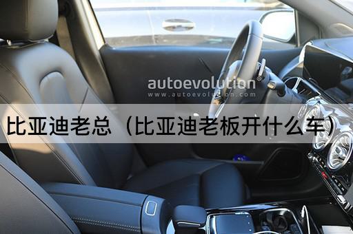比亚迪掌门人（比亚迪CEO的座驾）
