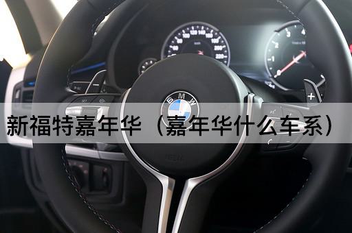 新福特嘉年华（嘉年华什么车系）