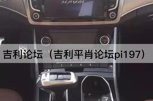 吉利*（吉利平肖*pi197）