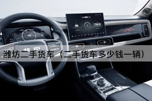 潍坊二手货车（二手货车多少钱一辆）