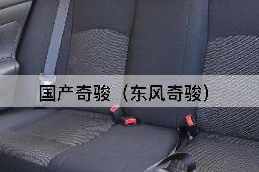 国产奇骏（东风奇骏）