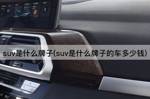 suv是什么牌子(suv是什么牌子的车多少钱)