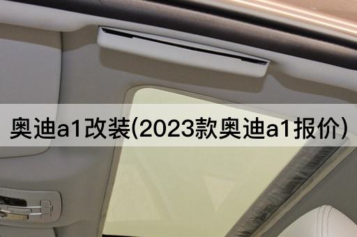 奥迪a1改装(2023款奥迪a1报价)