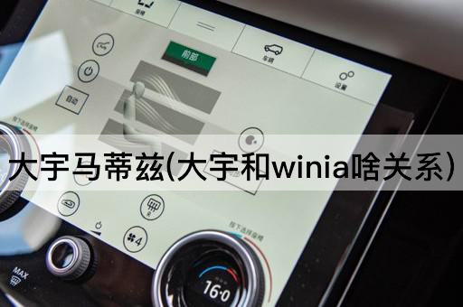 大宇马蒂兹(大宇和winia啥关系)