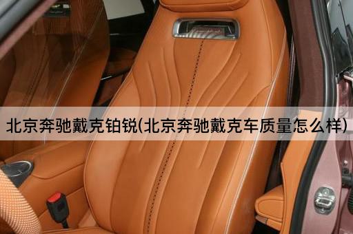 *奔驰戴克铂锐(*奔驰戴克车质量怎么样)