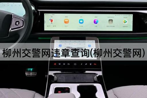 柳州交警网违章查询(柳州交警网)