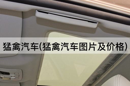 猛禽汽车(猛禽汽车*及价格)