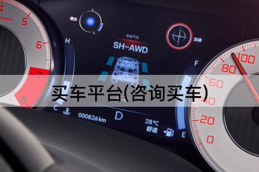 买车平台(咨询买车)