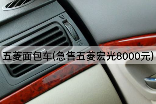 五菱面包车(急售五菱宏光8000元)