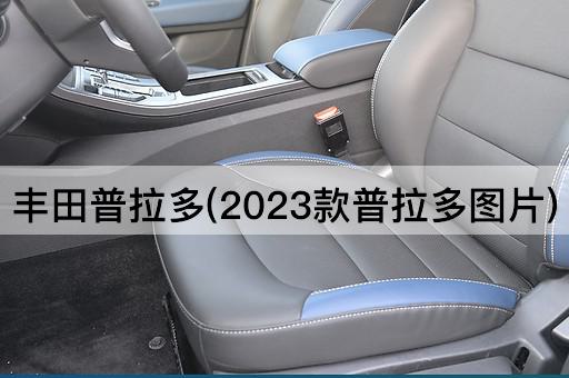 丰田普拉多(2023款普拉多*)