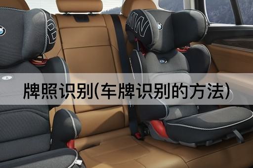 牌照识别(车牌识别的*)