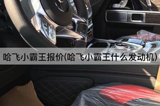 哈飞小霸王报价(哈飞小霸王什么发动机)