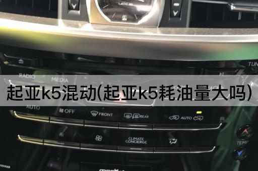 起亚k5混动(起亚k5耗油量大吗)