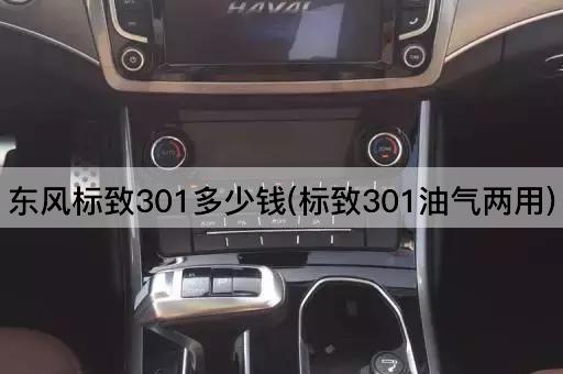 东风标致301多少钱(标致301油气两用)