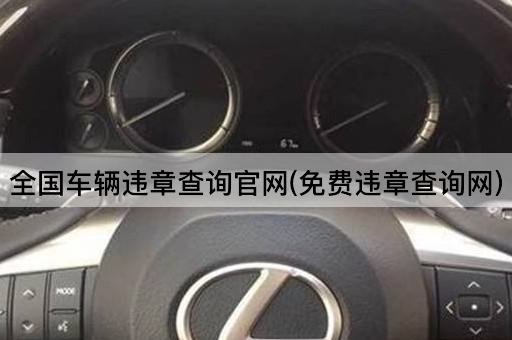 全国车辆违章查询官网(*违章查询网)