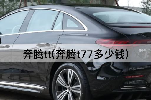 奔腾tt(奔腾t77多少钱)