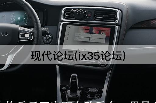 现代*(ix35*)