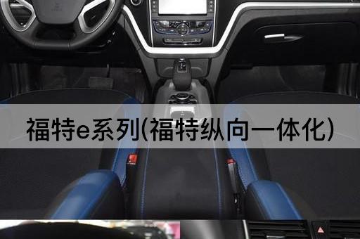 福特e系列(福特纵向一体化)