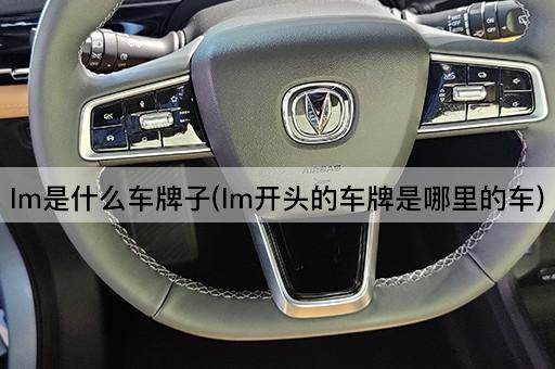 lm是什么车牌子(lm开头的车牌是哪里的车)