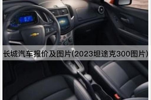 长城汽车报价及*(2023坦途克300*)