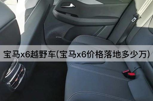 宝马x6越野车(宝马x6价格落地多少万)