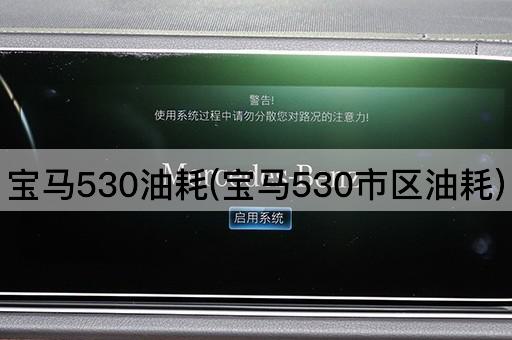 宝马530油耗(宝马530市区油耗)