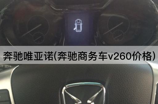 奔驰唯亚诺(奔驰商务车v260价格)