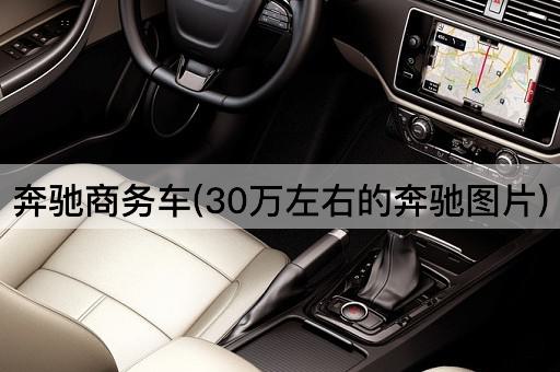 奔驰商务车(30万左右的奔驰*)