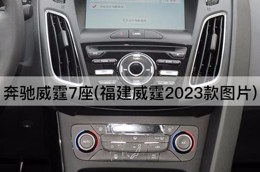 奔驰威霆7座(福建威霆2023款*)