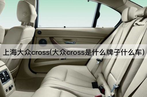 上海大众cross(大众cross是什么牌子什么车)