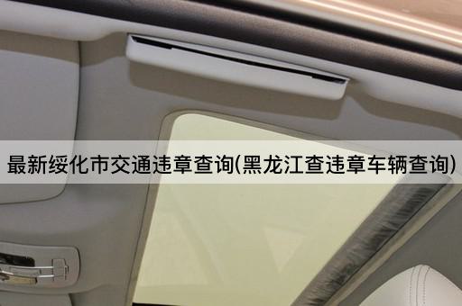 最新绥化市交通违章查询(*查违章车辆查询)