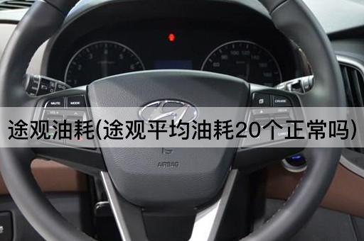 途观油耗(途观平均油耗20个正常吗)